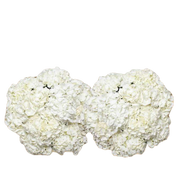 Bulk White Hydrangea 40 Stems