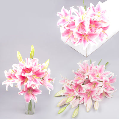 Bulk Oriental Pink Lilies 20 Stems