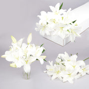 Bulk Oriental White Lilies 20 Stems