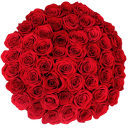 Bulk Red Roses 96 Stems