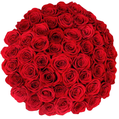 Bulk Red Roses 96 Stems