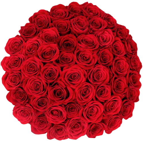 Bulk Red Roses 96 Stems