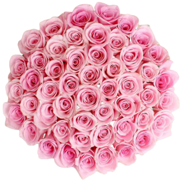 Bulk Pink Roses 96 Stems